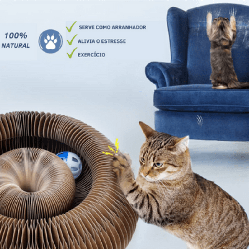 Brinquedo Interativo Para Gatos I Cat Joy + 1 Bola de Brinde - OutletNomad