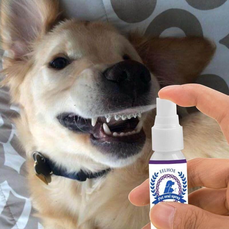 Spray Oral Eliminador de Tártaro e Mau Hálito Pet - OutletNomad